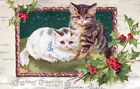 CHRISTMAS - Two Cats Christmas Greetings Postcard