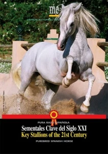 Key Stallions of the 21st Century – PRE Horse - Imagen 1 de 3