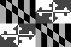 Calcomanía de vinilo cámper camión cámper con bandera del estado de Maryland MD pegatina para ventana VAR tenue - Imagen 1 de 1