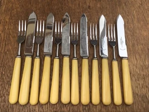 6 VINTAGE FRUIT KNIVES & FORKS WITH FAUX BONE HANDLES BY THOMAS TURNER 1920s - Picture 1 of 15
