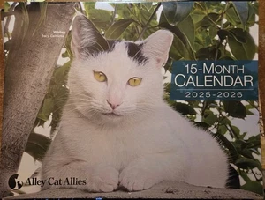 2026 Wandkalender Alley Cat Allies 15 Monate 16 Zoll x 10,5 Zoll vollfarbige Geschichten - Bild 1 von 3