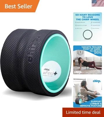 Rodillo de espuma como nuevo de 6 pulgadas para masaje de tejido profundo y alivio del dolor dirigido Foto 1 de 4