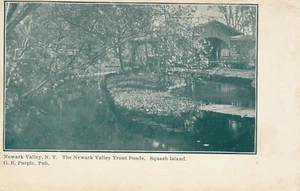 NEWARK VALLEY NY - Squash Island Newark Valley Trout Ponds - udb (pre 1908) - Picture 1 of 2