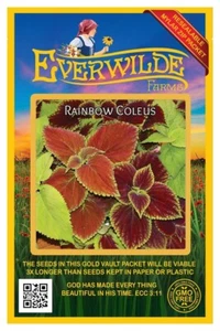 1000 Rainbow Mixed Coleus Wildblumensamen - Everwilde Farms Mylar Samen Paket - Bild 1 von 3