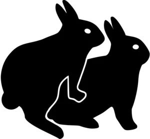 Humping Bunnies Vinyl Aufkleber Abziehbild JDM lustiges Häschen - Größe & Farbe wählbar - Bild 1 von 2