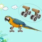 Metal Parrots Roller Skates Mini Parrot Training Equipment Pulley  Parrot