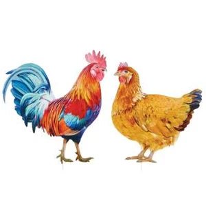 Collections Etc Realistic Hen and Rooster Iron Garden Stakes - Set of 2 - Picture 1 of 1