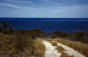 Foto d'epoca a colori 35 mm diapositiva Hawaii oceano retro strada scenica vacanze A10 - Foto 1 di 1