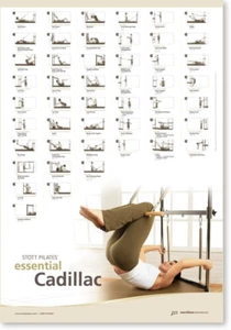 Wall Chart - Picture 1 of 12