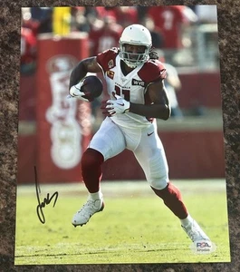 Larry Fitzgerald Signed Autographed 8x10 Photo Arizona Cardinals PSA/DNA - Picture 1 of 2