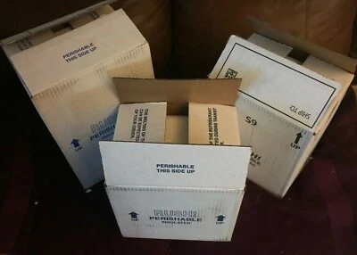 PROPAK Styrofoam Insulated Cooler Multi-sized Shipping Container For Perishables - Image 1 of 2