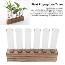 (6 Tubes)Plant Propagation Station Glass Plant Propagation Station Plant