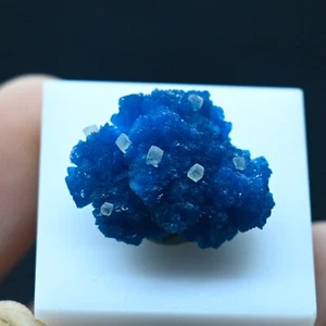 Cavansite with calcites (non precious natural stone) # 4117 - Picture 1 of 6