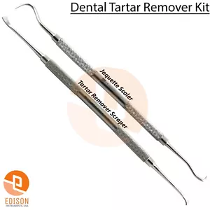 Dental Tartar Remover Tooth Scraper Anterior Towner Scaler Dentistry Pick Tools - Picture 1 of 3