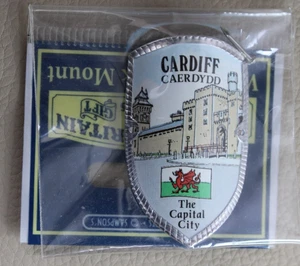 * CARDIFF  WALKING STICK SHEILD UNUSED  BADGE PIN  #WFJ30 - Picture 1 of 4