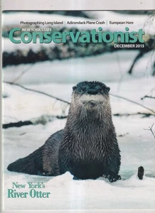 Conservationist Magazine December 2013 New York's River Otter, Long Island Europ - Picture 1 of 2