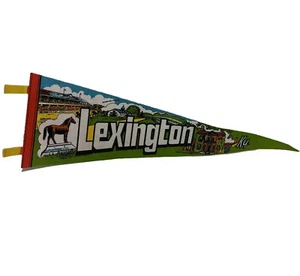 Vintage Lexington Kentucky KY Souvenir Pennant Horses Derby - Picture 1 of 5