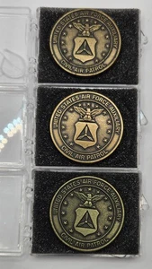One USAF AIR FORCE Civil Auxiliary Civil Air Patrol Metal Emblem Insignia Badge - Picture 1 of 4