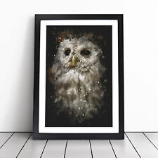 Tawny Owl Vol.1 Wall Art Print Framed Canvas Picture Poster Decor Living Room
