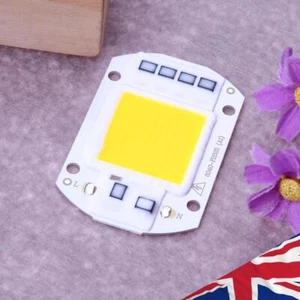 50W LEDs Floodlights COB Chip 220V Input Integrated Smart IC Drivers - Picture 1 of 5