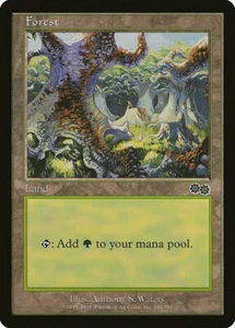 Forest (348) Urza's Saga NM Basic Land MAGIC THE GATHERING MTG - Picture 1 of 1