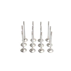 Exhaust Valve Set Fit For Engine Maserati 3.0T Quattroporte Levante Ghibli M157 - Picture 1 of 12