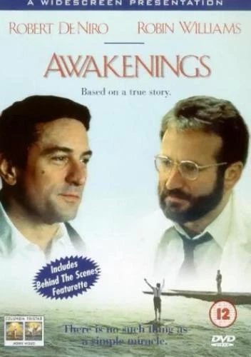 Awakenings DVD (2000) Robert De Niro, Marshall (DIR) cert 12 Fast and FREE P & P - Image 1 of 2