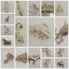 Sterling Silver Charms 925 for bracelet many variations please look R20