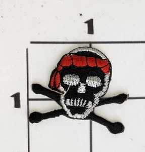 Jolly Roger Patch Cross Bones Embroidered Iron On Applique Costume Upcycle - Picture 1 of 1