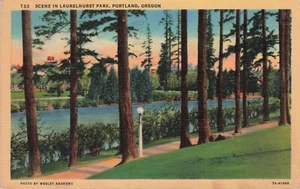 Scene in Laurelhurst Park, Portland, Oregon Vintage PC Posted 1940 - Picture 1 of 2