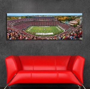 Georgia University - Georgia Bulldogs Stadium Panoramic 36 x 12 - Picture 1 of 3