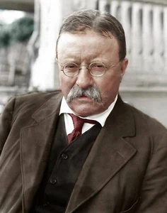 Impresión fotográfica de 8x10 del presidente Theodore Roosevelt - Imagen 1 de 1