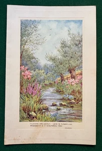 Antique Royal Christmas Card Signed by Queen Mary 1950 Lady Stamfordham - Picture 1 of 6