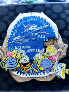 BSA/OA GREAT LODGE 1000 1996 NOAC TOO BIG TO IGNORE JACKET PATCH - Picture 1 of 1