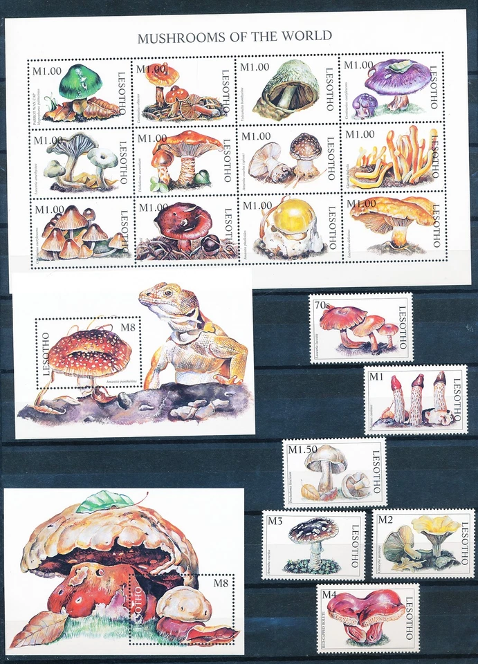 XE56599 Lesotho fungi plants nature mushrooms fine lot MNH - Image 1 of 1