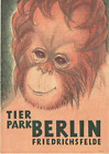 Original Vintage Poster ORANG-UTAN ZOO TIERPARK BERLIN DEUTSCHLAND 1967