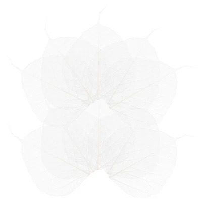 Esemplare di foglie di albero 20 pezzi per artigianato artistico e decorazione fai da te - Immagine 1 di 4