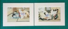 Japanese Reproduction Print Set of 2 SHUNGA #5 Erotic Mounted on Parchment Paper
