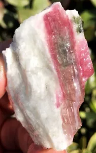42g Natürliche Wassermelone Farbe Turmalin Kristall Eis Transparent Präparat ie1972 - Bild 1 von 12