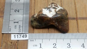 Achat Dendriten Rollstein Mineralien Lithotherapie Sammlung Esoterik Reiki - Bild 1 von 1