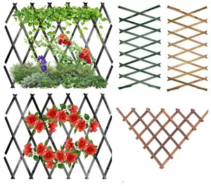 6ft Expanding Wooden Wood Trellis Climbing Plants Fence Panel Screening Lattice - Picture 1 of 16