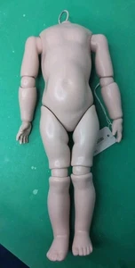 Cuerpo de muñeca de composición real Seeley de 13,5" de alto articulado GB15S excelente OB - Imagen 1 de 15
