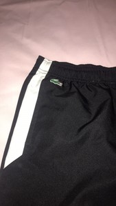 lacoste guppy tracksuit