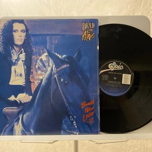 Dead Or Alive - Brand New Lover 1986 - 12" vinyl maxi-single - EX/VG - Imagen 1 de 8