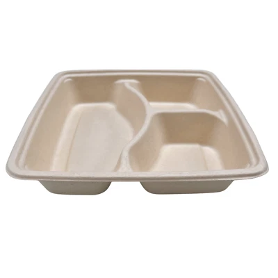 3 Compartments Square Bagasse Tray Compostable Biodegradable Platter BBQ Platter - Image 1 of 4