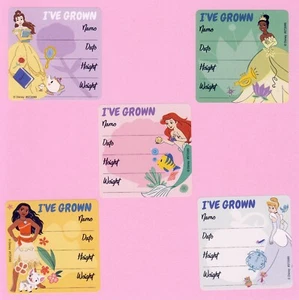 10 pegatinas grandes I've Grown Brave Disney Princess - altura y peso - Imagen 1 de 1