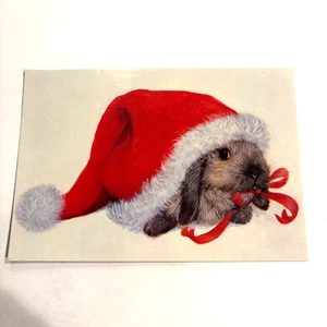 Vintage Rabbit in Santa Hat Christmas Holiday Blessing Seasons Greeting Postcard - Picture 1 of 2