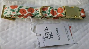 Foggy Dog Orange Poppies Gold Buckle Collar Medium 14-19" New - Picture 1 of 3