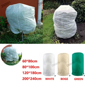 Winterschutz Frostschutz für große Pflanzen Palme Palmen m/ Kordelzug 3 Farben - - Bild 1 von 7