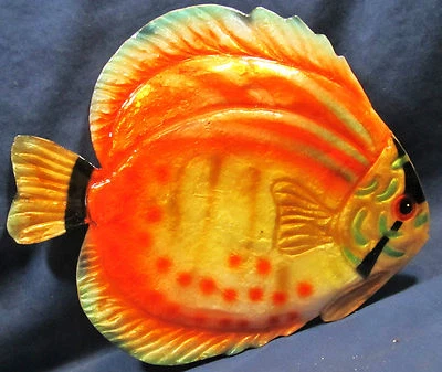 Orange Discus Tropical Fresh Water Fish Wall Art Sea Life Home Decor  - Image 1 of 3